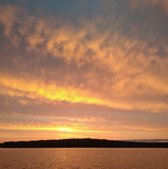 🐶  SCOTTY DOG Puppies Lot ChalkWare, Pottery, Vintage Miniatures Lot of 5 - Picture 13 of 16